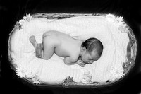 Baby Sofia Adrian Miller Photography 013