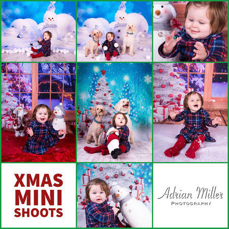 Xmas Mini Shoot 9