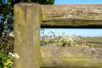 20190513 LOS Leigh On Sea 028