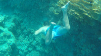 G0011035