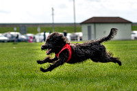 20201018 Pets At Canvey1944
